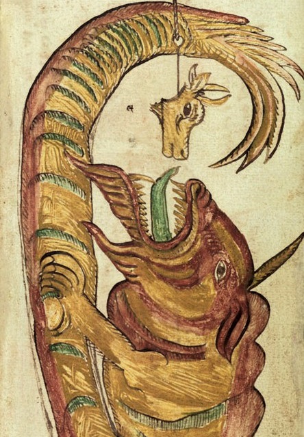 Jörmungandr a.k.a. Norman Gander